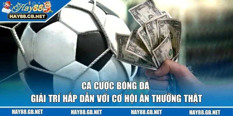 Cá Cược Bóng Đá