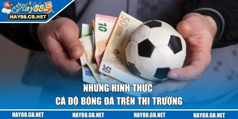 Những hình thức cá độ bóng đá trên thị trường